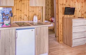 a kitchen with wooden walls and a counter with a refrigerator at Awesome Home In Jaroslawiec With 1 Bedrooms in Jarosławiec