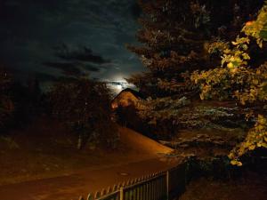 ein Bild einer Straße in der Nacht mit einem Baum in der Unterkunft Mika's Haus in Luftkurort Lückendorf