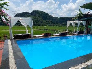 a large swimming pool with chairs and umbrellas at Tam Coc Wonderland Bungalow in Ninh Binh