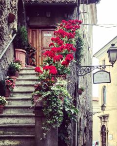 una escalera con flores rojas delante de una puerta en La Scala Fiorita, en Anagni