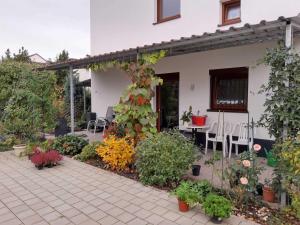 Zahrada ubytování Villa Peony