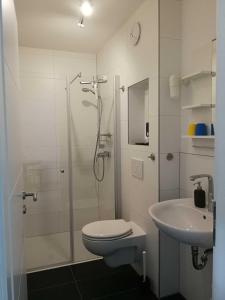 ein Bad mit einer Dusche, einem WC und einem Waschbecken in der Unterkunft Villa Peony in Muhlheim am Main