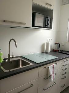 eine Küchentheke mit einer Spüle und einer Mikrowelle in der Unterkunft Villa Peony in Muhlheim am Main