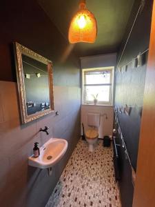 a bathroom with a sink and a toilet and a mirror at Apartment AusZeit - Natur Pur - mitten im Grünen 