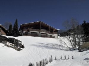 ラ・クリュサにあるAppartement La Clusaz, 5 pièces, 6 personnes - FR-1-459-57の雪山頂の家