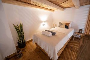 een slaapkamer met een bed en een potplant bij CasaCarma II, private pool, boho design, tradition in Lachaniá