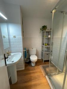 ein Bad mit einem WC, einem Waschbecken und einer Dusche in der Unterkunft Urgel habitaciones in Barcelona