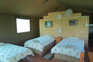 een slaapkamer met 2 bedden en ballonnen erin bij Kudu Ridge Game Lodge in Addo