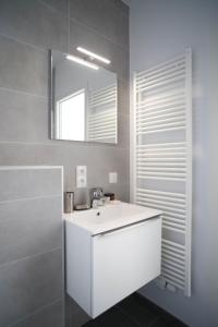 a bathroom with a white sink and a mirror at The Erasmus Flats in Brussels
