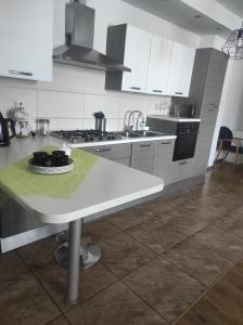 Kuchyňa alebo kuchynka v ubytovaní Apartamenty centrum