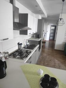 Kuchyňa alebo kuchynka v ubytovaní Apartamenty centrum