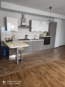Kuchyňa alebo kuchynka v ubytovaní Apartamenty centrum