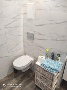 Kúpeľňa v ubytovaní Apartamenty centrum