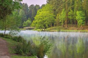 a view of a lake with a bridge and trees at Deers Leap A modern new personal holiday let in Blakeney