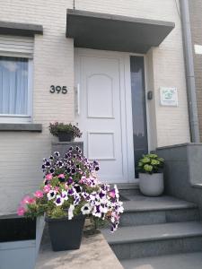 una casa con due vasi di fiori sulla porta d'ingresso di Sea-Me Ostend a Ostenda