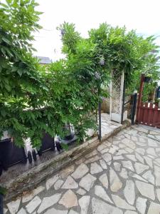 a garden with a gate and some trees at Le secret de la Glycine in Lillebonne