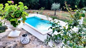 Bazén v ubytovaní Charmant studio dans maison d'hôte dans un écrin de verdure alebo v jeho blízkosti + 9 fotografií