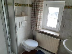une petite salle de bain avec toilettes et fenêtre dans l'établissement Apartment mit Balkon, à Dresde