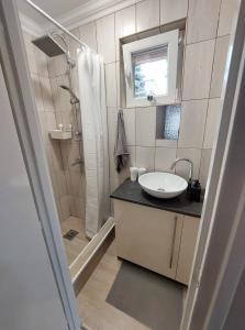 y baño con lavabo y ducha. en Cinke Üdülőház en Tiszakécske