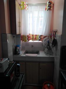 una pequeña cocina con fregadero y ventana en Executive Studio, en Nakuru