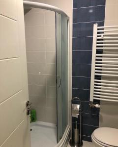 un bagno con doccia in vetro e WC di Studio “Masha” a Apatin
