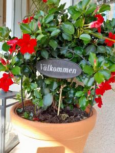 Eine Pflanze in einem Topf mit einem Schild, das Willushima liest. in der Unterkunft Kristinebergs Bed & Breakfast in Mora