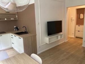 Kuchyňa alebo kuchynka v ubytovaní Apartament Grzaniec