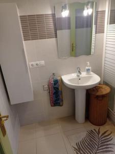 un bagno con lavandino e specchio di Pis amb encant a Campdevànol,al centre del poble. a Campdevánol