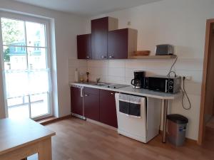 eine Küche mit einer Spüle und einer Theke mit einer Mikrowelle in der Unterkunft Ferienwohnung - August-Bebel-Str. 19 in Oelsnitz