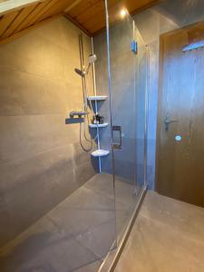 a shower with a glass door in a bathroom at Appartement am Stadtpark in Ochtrup