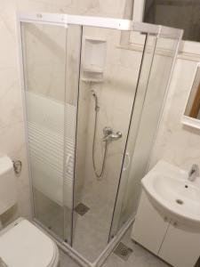 a shower in a bathroom with a toilet and a sink at Stone Apartments in Dubrovnik