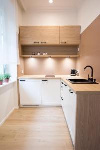 Kuchyňa alebo kuchynka v ubytovaní Apartament Grzaniec