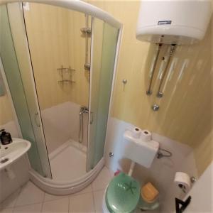 een badkamer met douche, toilet en wastafel bij Apartman Helena in Gradac