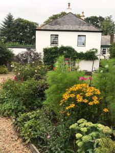 a garden in front of a white house with flowers at Little Silver in Great Torrington