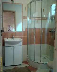 a bathroom with a glass shower and a sink at Domki letniskowe BAŁTYK in Łeba