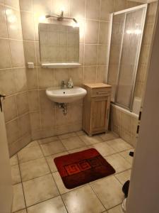 a small bathroom with a sink and a mirror at Apartments Irena Burkert in Chemnitz