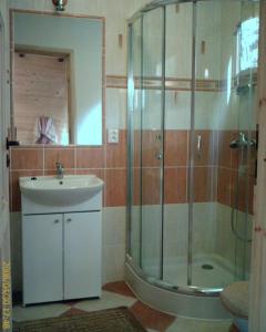 La salle de bains est pourvue d'une douche en verre et d'un lavabo. dans l'établissement Domki letniskowe BAŁTYK, à Łeba
