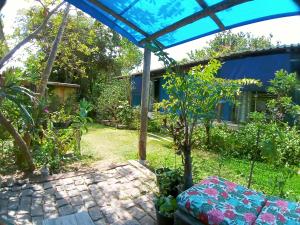 a view of a garden from the patio of a house at Pousada Container Eco Manguinhos in Manguinhos