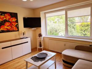 Kuchyň nebo kuchyňský kout v ubytování Nida Amber