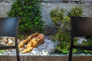 Deux chaises dans un jardin avec des rochers et des plantes dans l'établissement Hotel Diffuso Locanda Elisa, à Dimaro