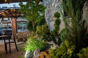 un jardin avec des plantes, une table et un parasol dans l'établissement Hotel Diffuso Locanda Elisa, à Dimaro