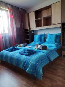 Легло или легла в стая в DOBRA RAKIJA - transit sleep