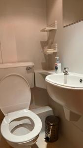 a bathroom with a white toilet and a sink at Gresham Hotel Bloomsbury in London