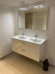 ein Badezimmer mit einem weißen Waschbecken und einem Spiegel in der Unterkunft l’ Amont in Étretat