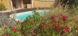 un jardín con flores frente a una piscina en Adorable guest house with piscine, en Lempaut