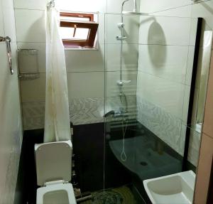 een badkamer met een douche, een toilet en een wastafel bij North Kazbegi in Kazbegi