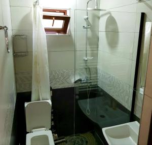 a bathroom with a shower and a toilet and a sink at North Kazbegi in Stepantsminda