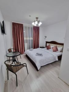 1 dormitorio con 1 cama, 1 mesa y 1 silla en Pensiunea Sofia, en Onceşti