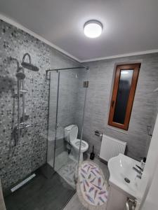 y baño con ducha, aseo y lavamanos. en Pensiunea Sofia, en Onceşti