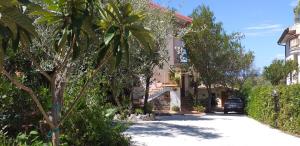 格里索利亞的住宿－b & b Magna Grecia，车道前有棕榈树的房子